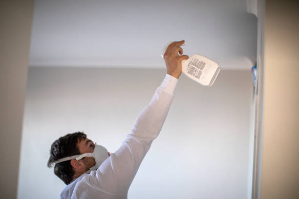 Best Localized Mold Remediation (e.g., coastal areas, humid climates) in Edna, TX