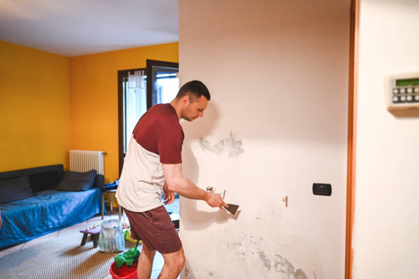 Best Post-Remediation Services in Edna, TX